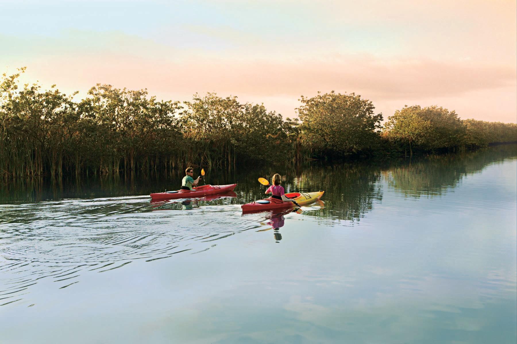 Explore the depths of the Everglades with a virtual tour via Google Earth. Everglades National Park