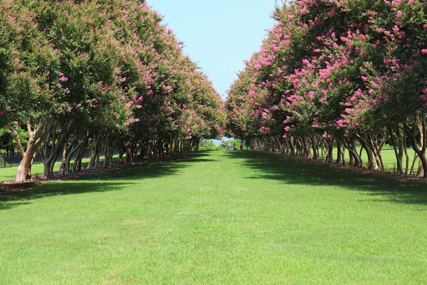 Norfolk Botanical Garden