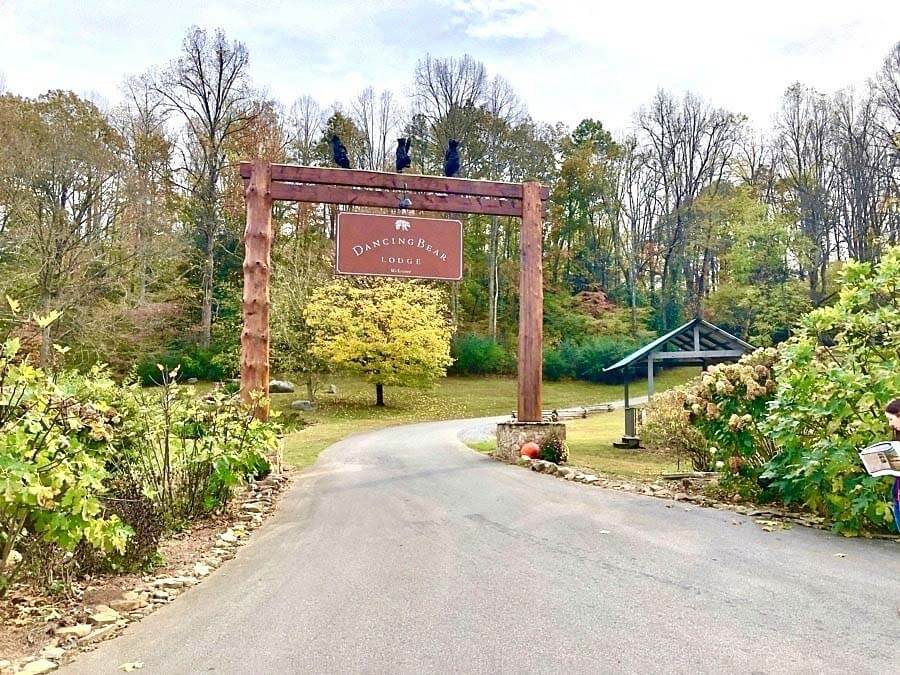 SB SE Little Arrow Outdoor Resort dancing bear 900x675 1