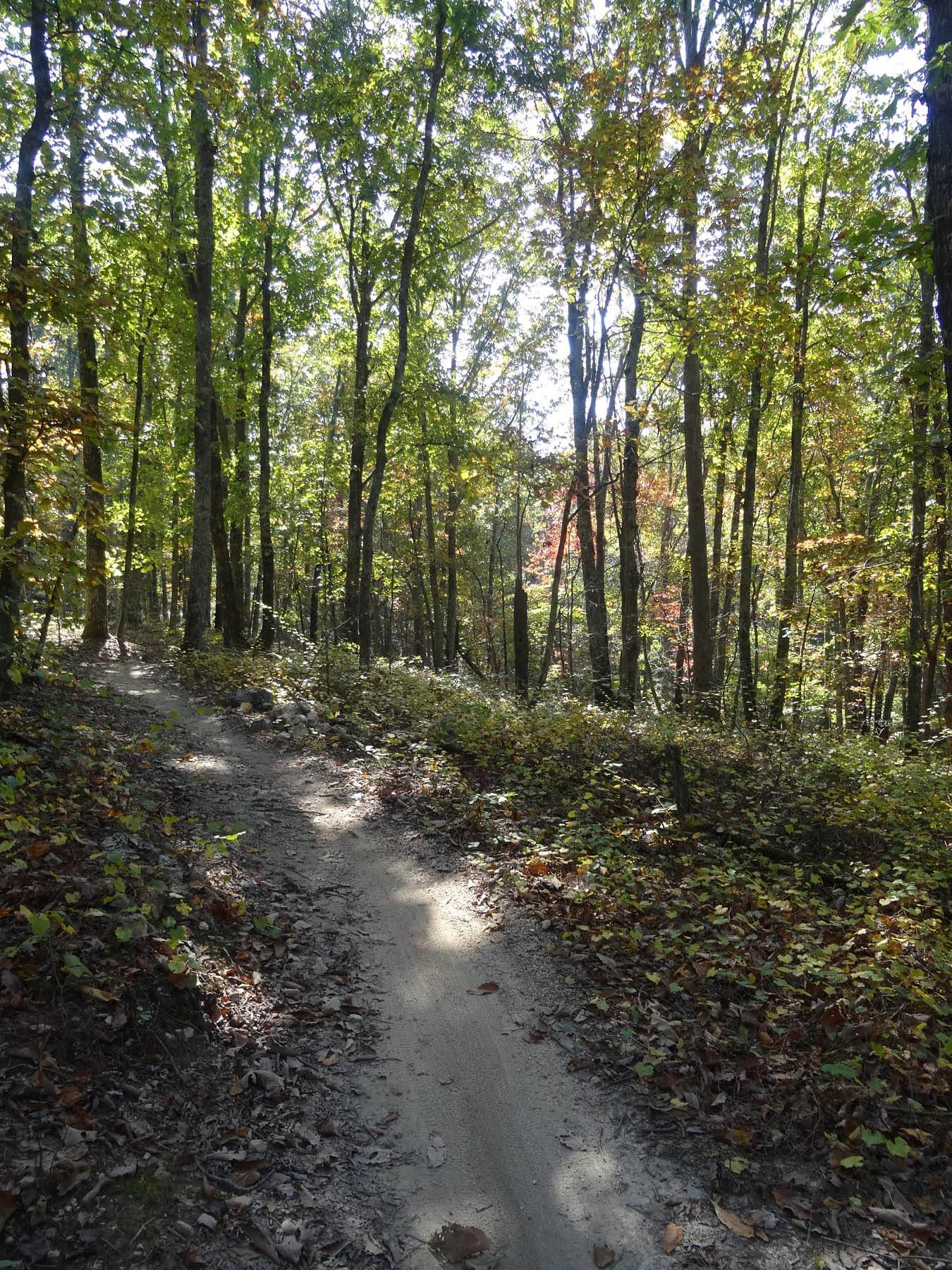 Enterprise South Nature Park bike trail