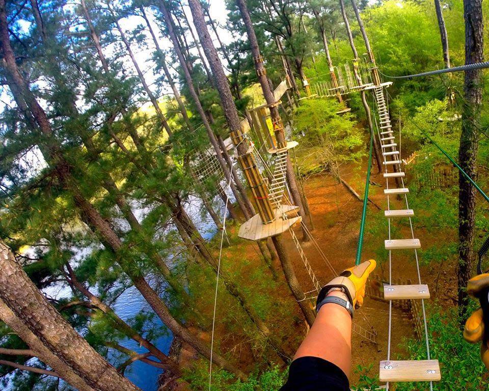 Ready for an adventure? Image: Go Ape Go Ape Treetop Adventure — a Memphis summer outing