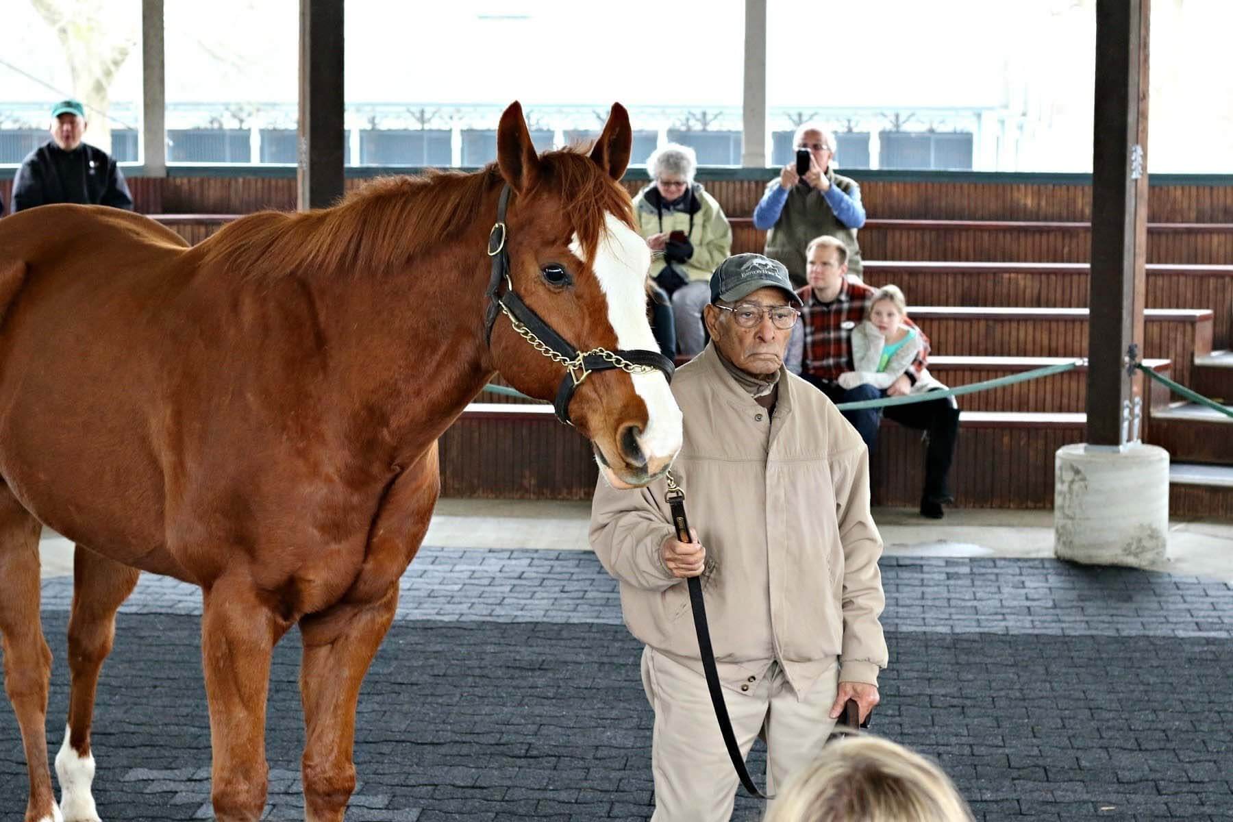 Kentucky Horse Park is located along a Kentucky scenic byway