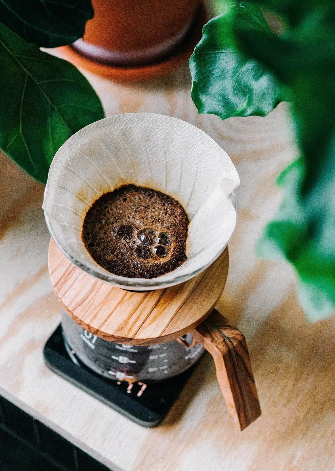 coffee moving through a paper filter