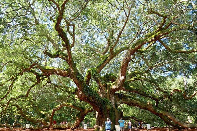 3 Fascinating Southern Destinations