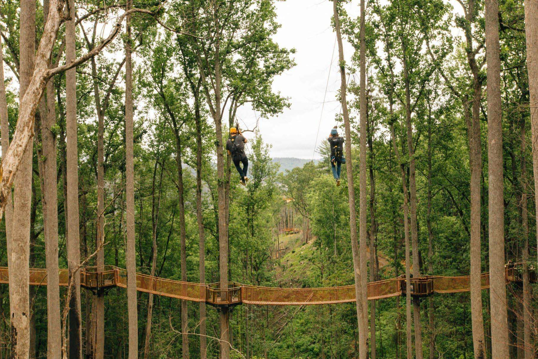 Dueling Zipline and True Blue Rappel 15