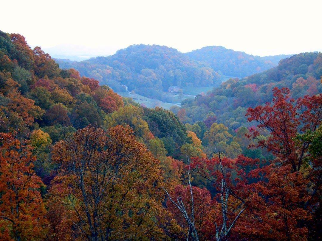 Leaf-peeping views in Williamson county