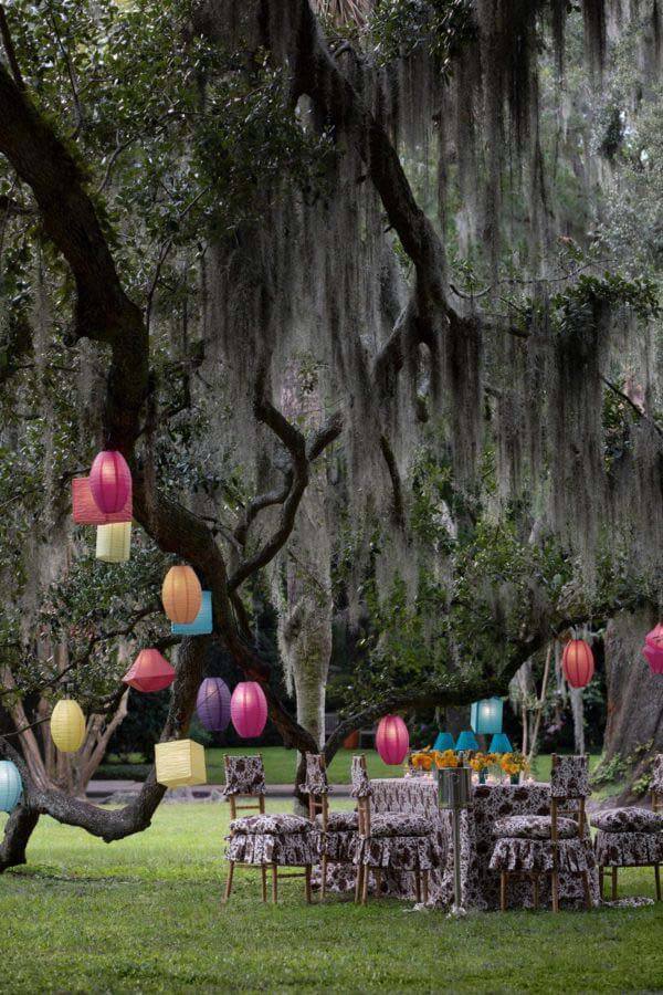 Outdoor oak tree Rebecca Gardner events 
