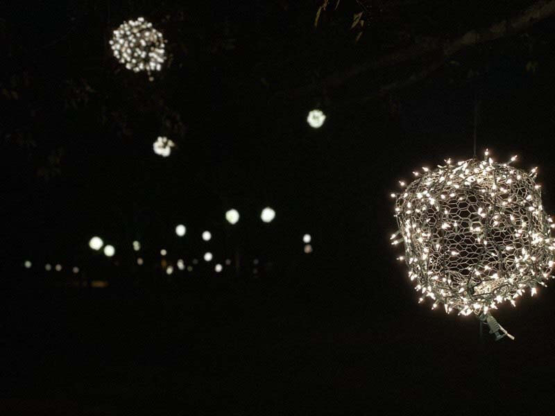 light balls hanging from trees