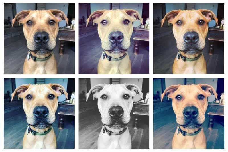 iPhone filter collage of Porter