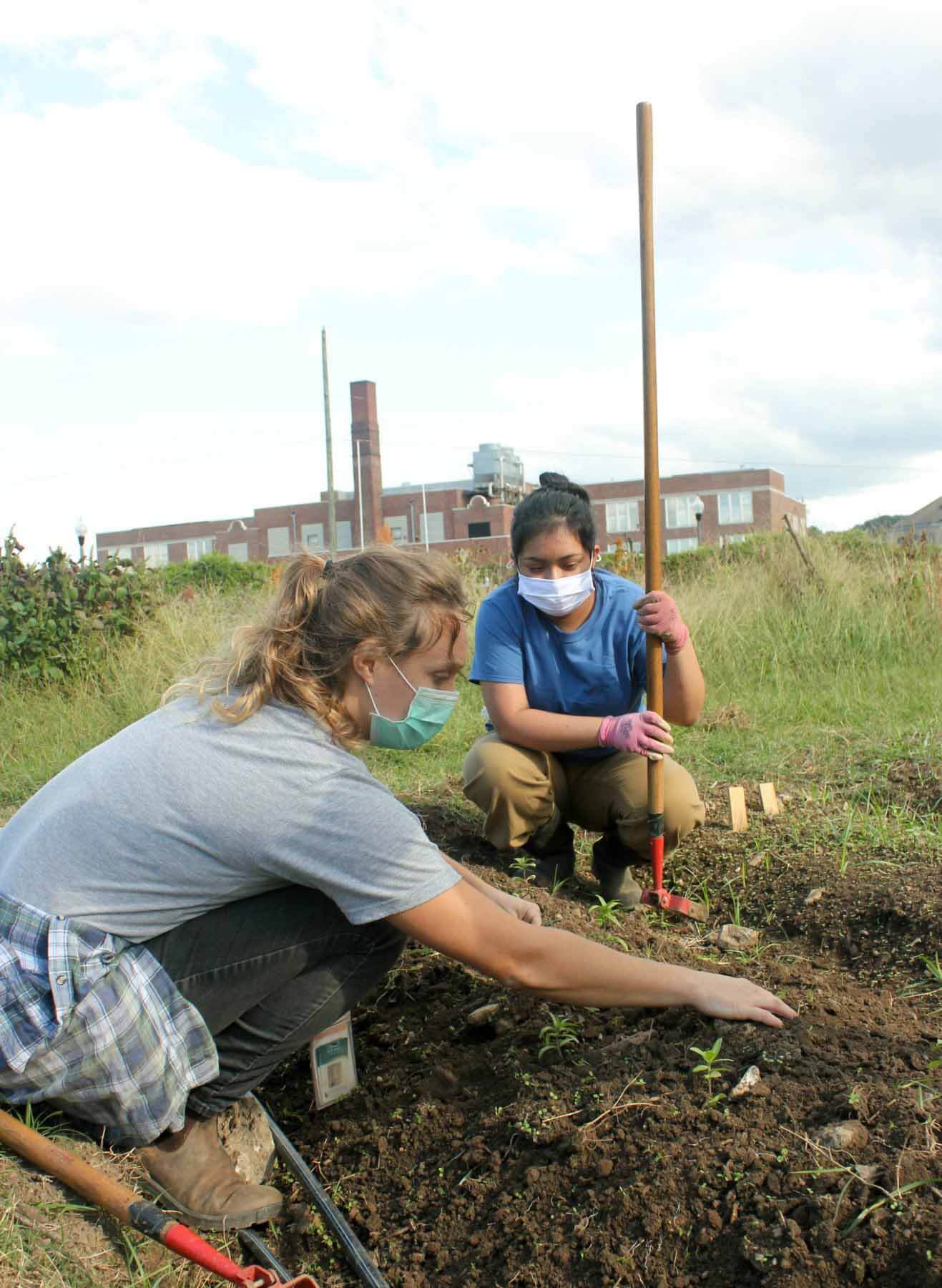JVTF student and worker gardening
