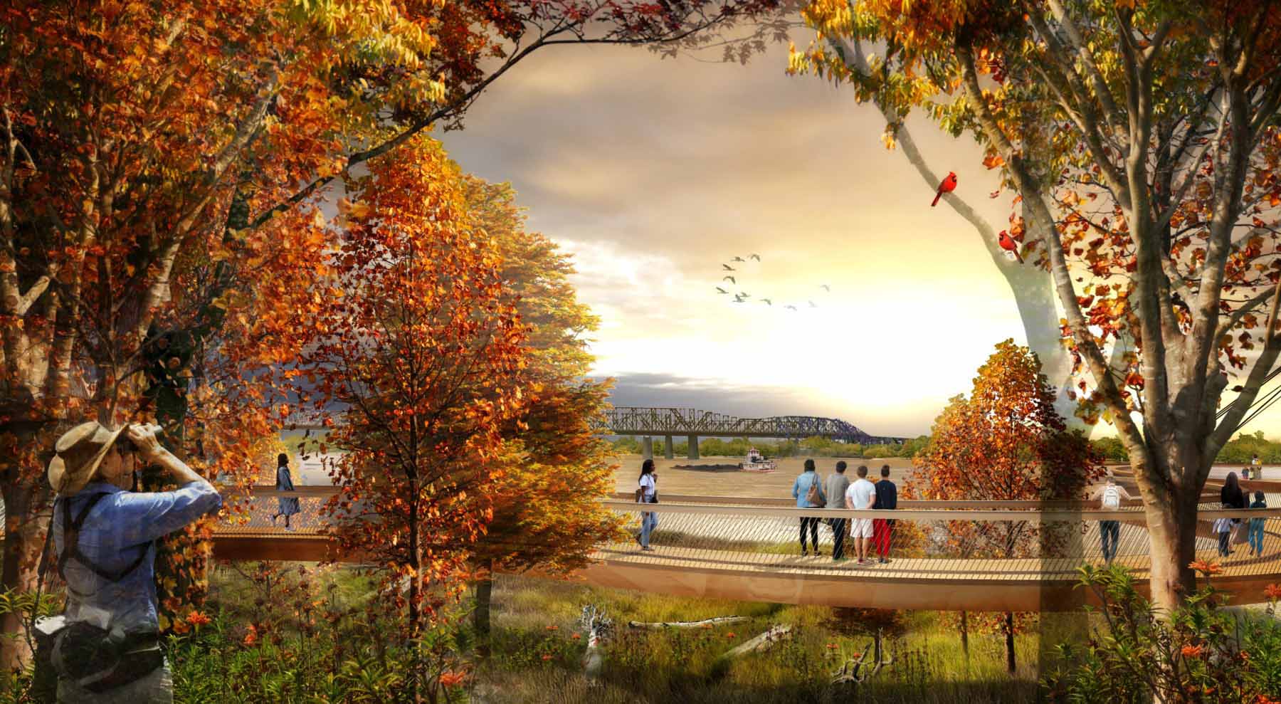 The Canopy Walk will offer an immersive experience of an ecologically-diverse area at the south end of the park. Canopy Walk