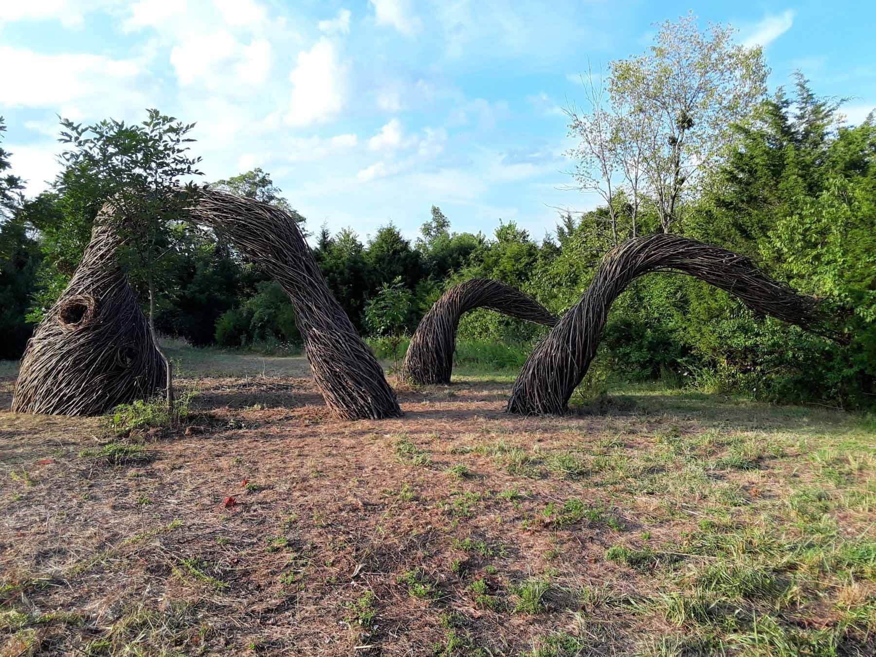"Sounds of a Whippoorwill" by Justin Roberts