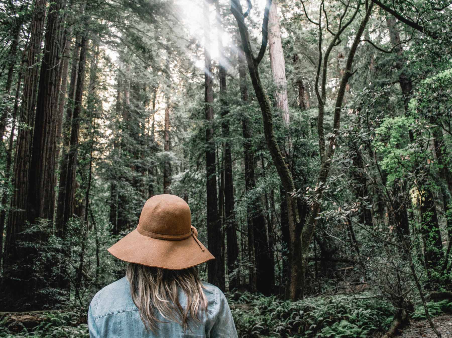 Girl in hat, experiencing outdoor activities by walking in the forest