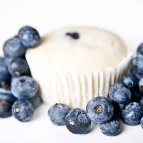 SB Spring Picnic Lemon Blueberry Cupcake A Taste of Koko