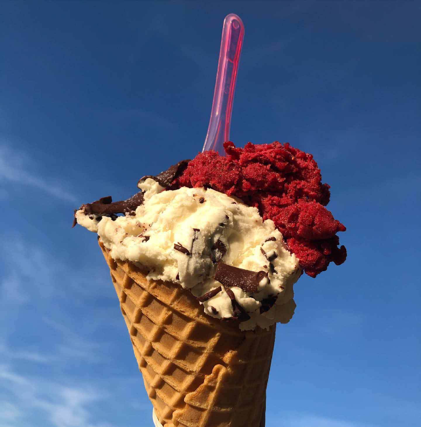 Gelato Gilberto now serves its artisanal, Italian gelato to Louisville's Clifton neighborhood. Image: Gelato Gilberto Waffle cone from Gelato Gilberto