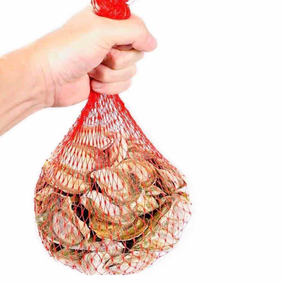Oysters in bag