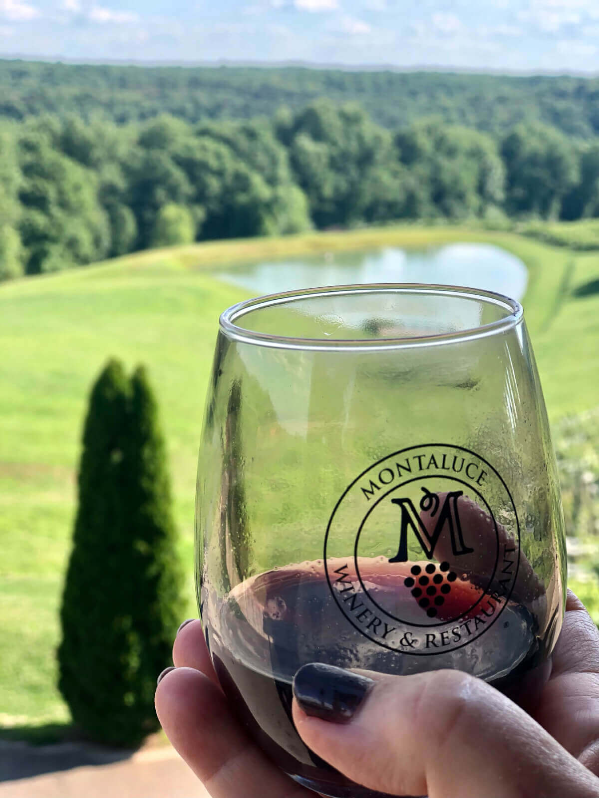 Glass of Reserve Petit Verdot from Montaluce Winery in Dahlonega, Georgia