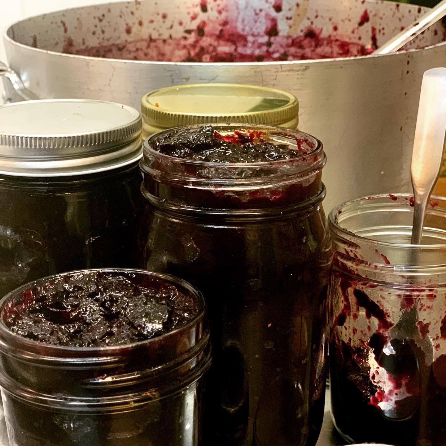 Jars of fresh jam from Biscuits & Jams, a new Memphis restaurant