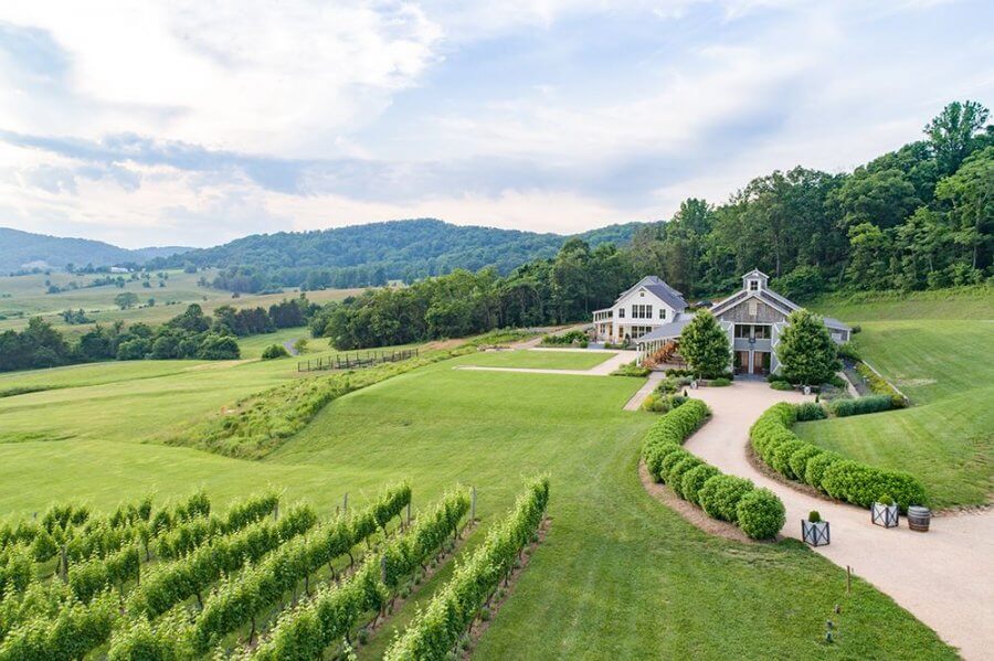 Pippin Hill Farm with house and vineyards