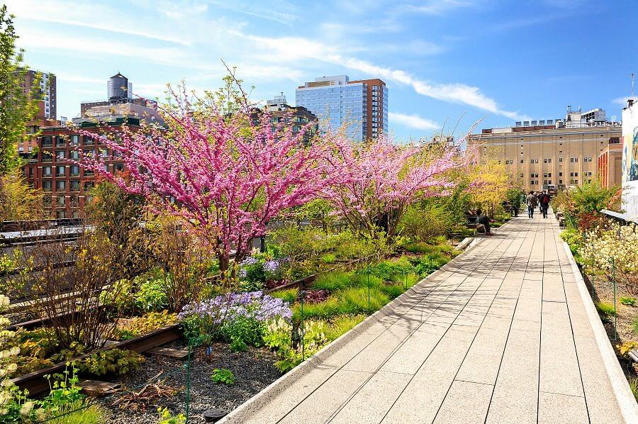 High Line Park in NYC in springtime