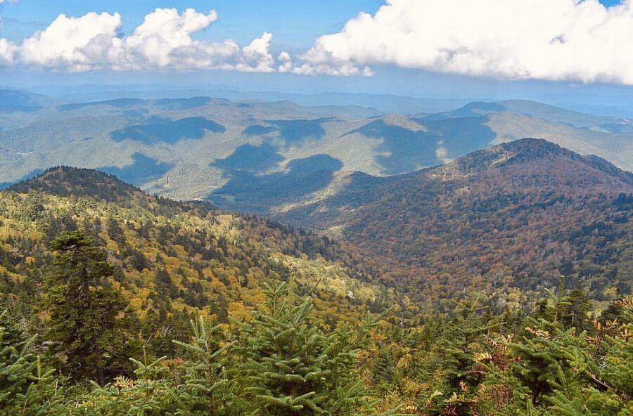 Cloudland Roan Mountain