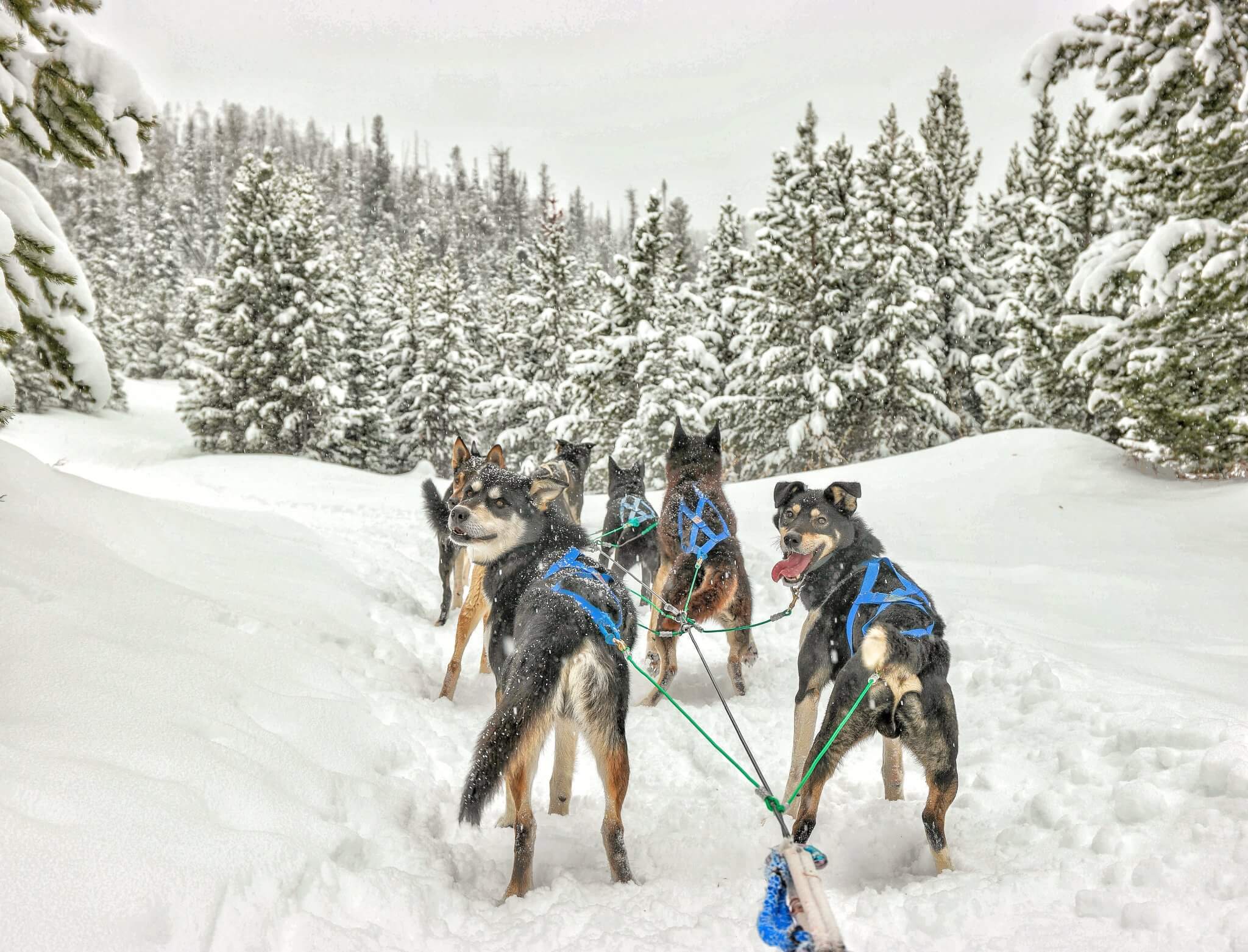 15 Reasons to Visit Montana's Yellowstone Country This Winter