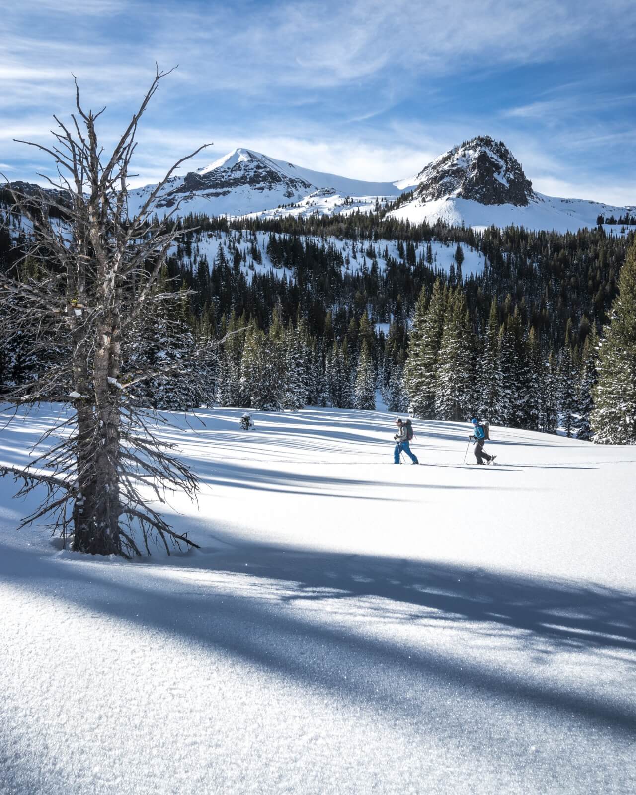 Two people snowshoeing on flat, snowy terrain