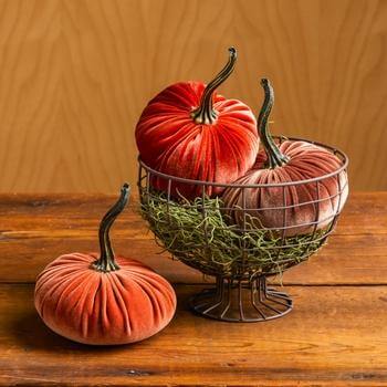 Velvet Pumpkins