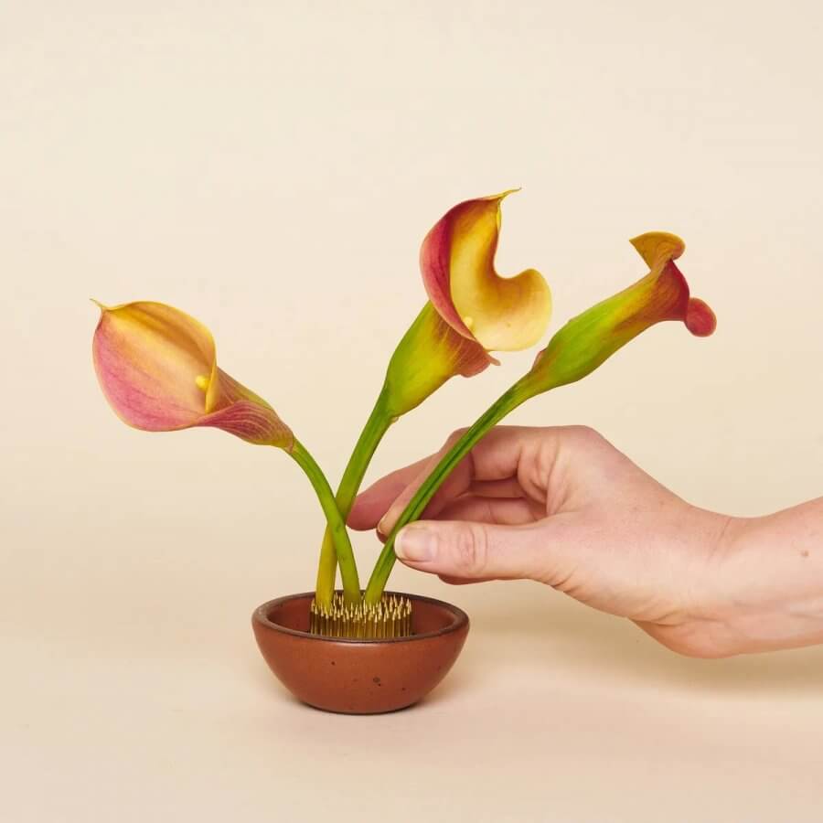flower with flower frog