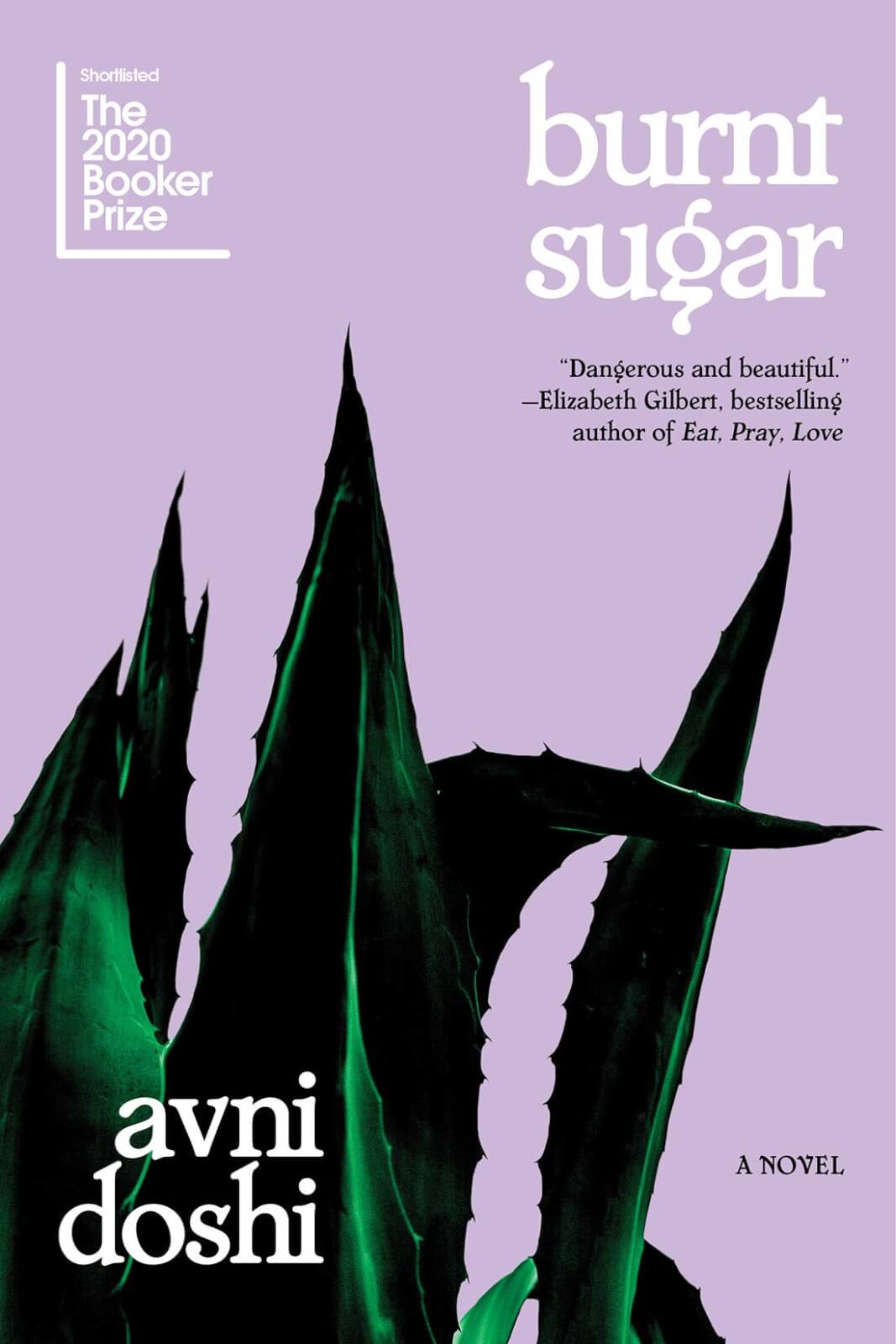 10 Cozy Post-Holiday Reads - 4 Burnt Sugar by Avni Doshi