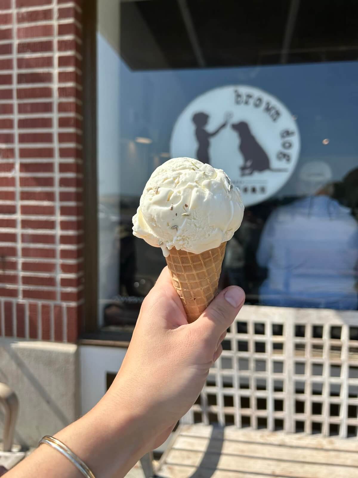 A hand holds a vanilla ice cream cone in front of a shop window adorned with a "brown dog" logo, featuring silhouettes of a dog and person, capturing the charm of small-town Virginia.