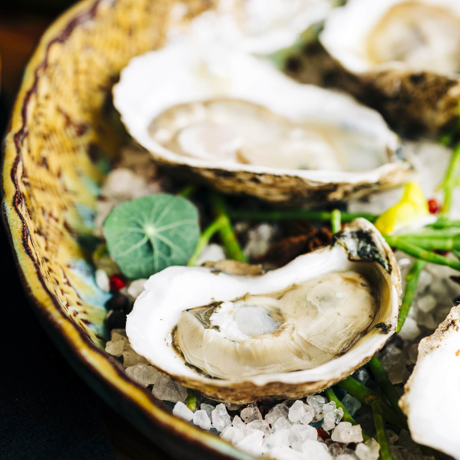 Close-up of oysters from PinPoint, a restaurant along the North Carolina Oyster Trail