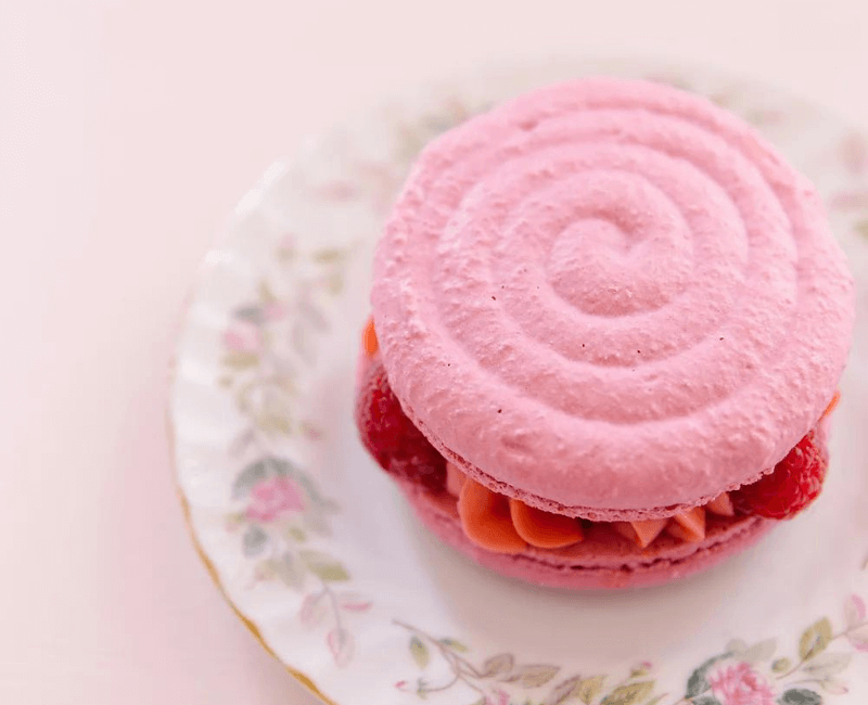 giant pink macaron