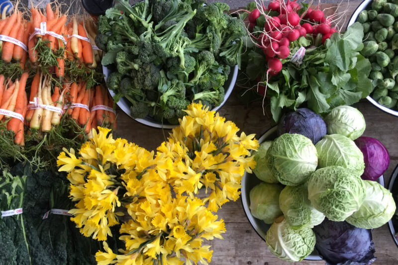 A variety of vegetable at Farm Friday, Bloomsbury Farm