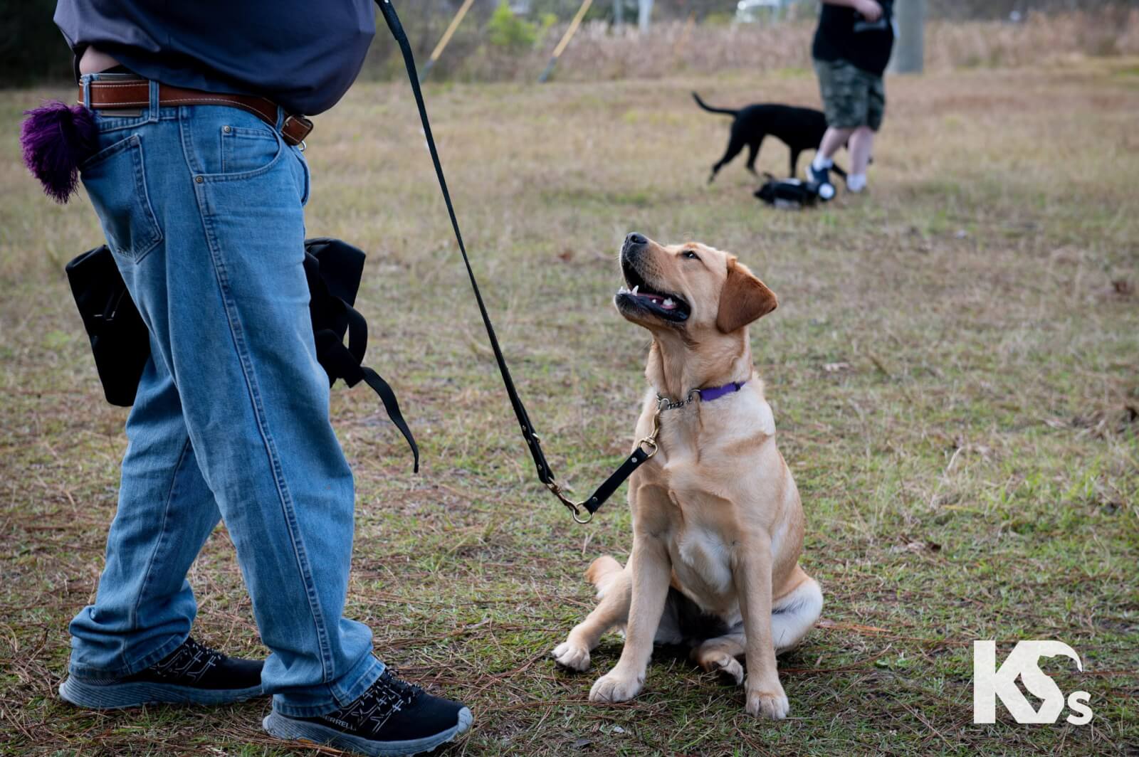 Spirit undergoes training.