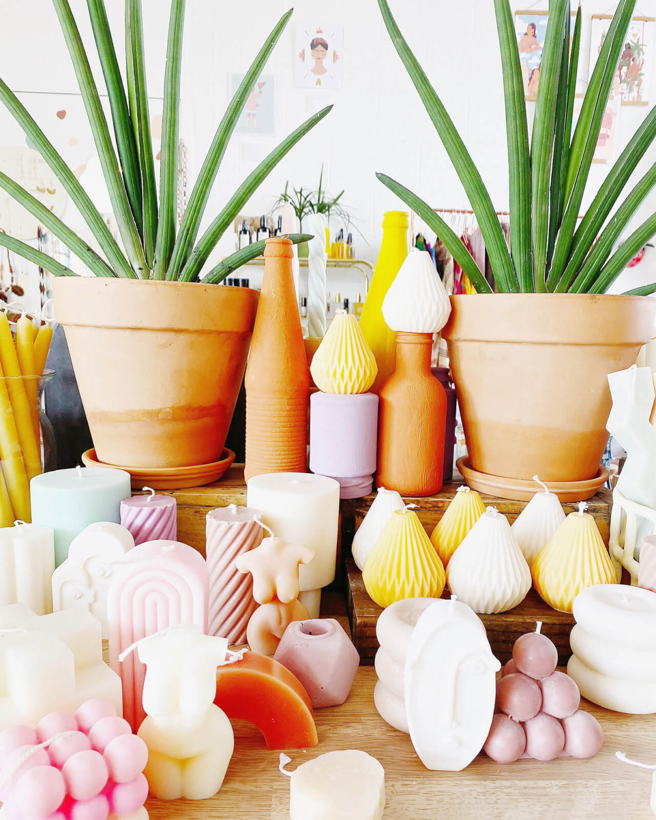 Plants and homemade candles at Thunder Moon Collective