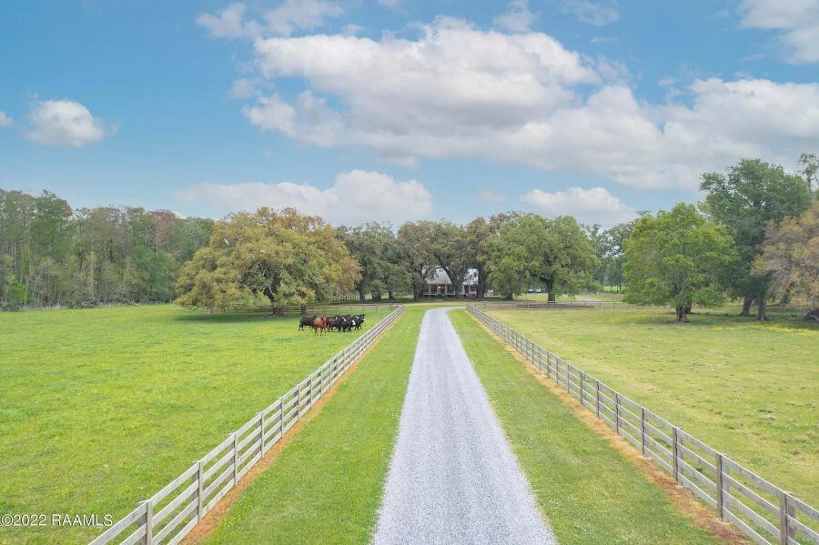 Horse pasture and fence Louisiana land for sale