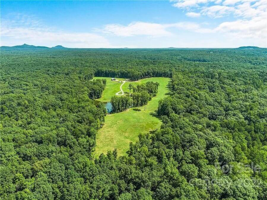Aerial view of woods and Blacksburg SC Property For Sale