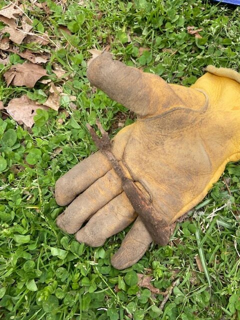 A gloved hand holding an old fork that was dug up.