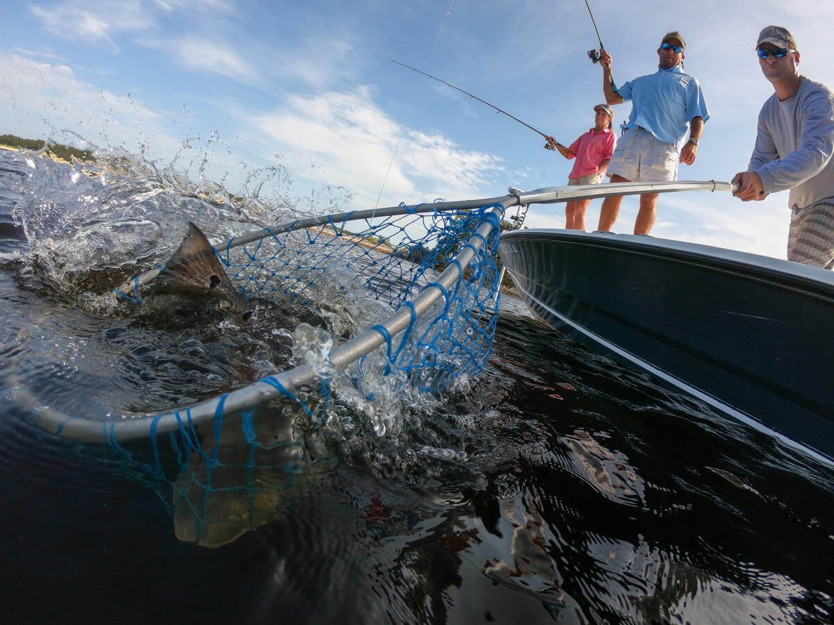 Group of people fishing in NC's Brunswick Islands