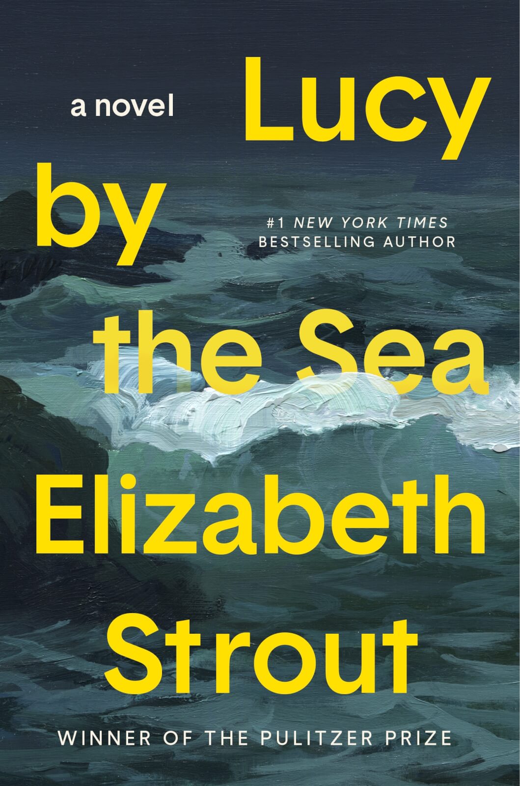 Lucy By The Sea by Elizabeth Strout