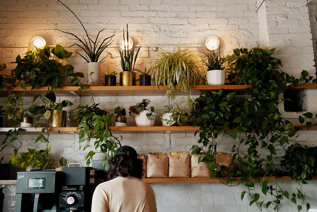 Interior of Elegy coffee