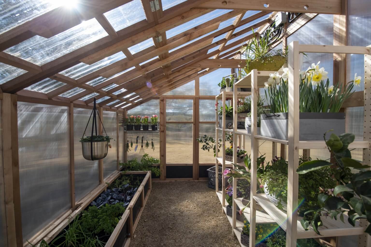 Greenhouse Root Example Swoon-Worthy Southern Greenhouses | StyleBlueprint
