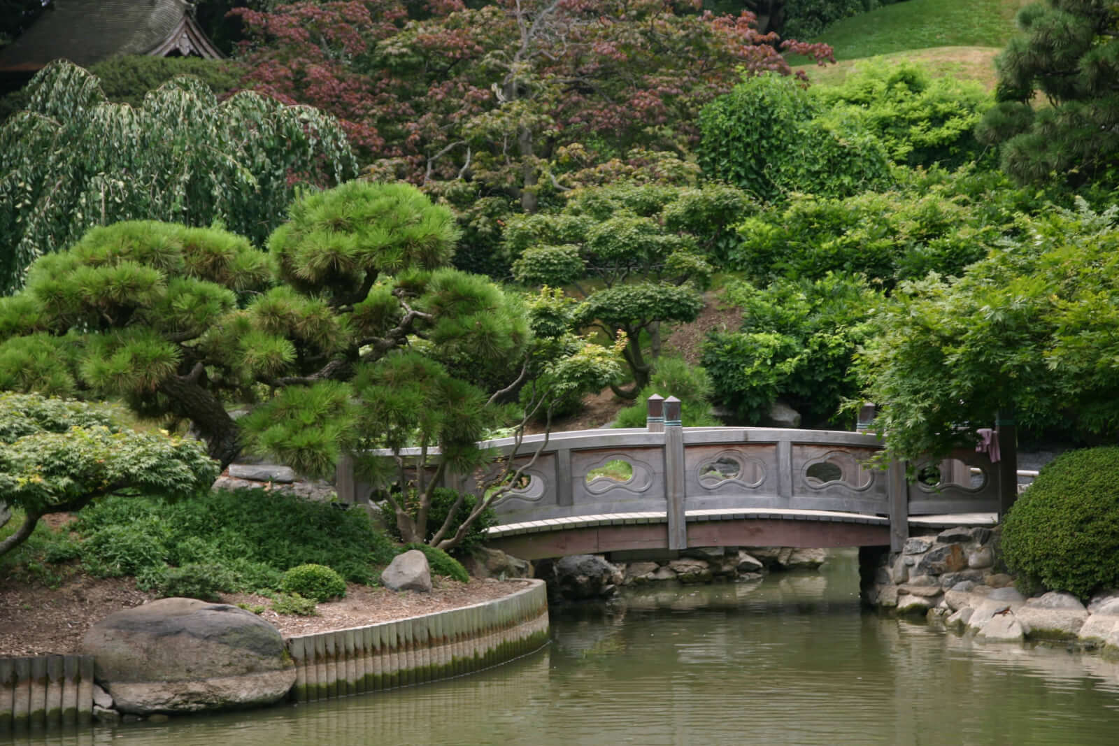 bridge over pond surrounded by greenery