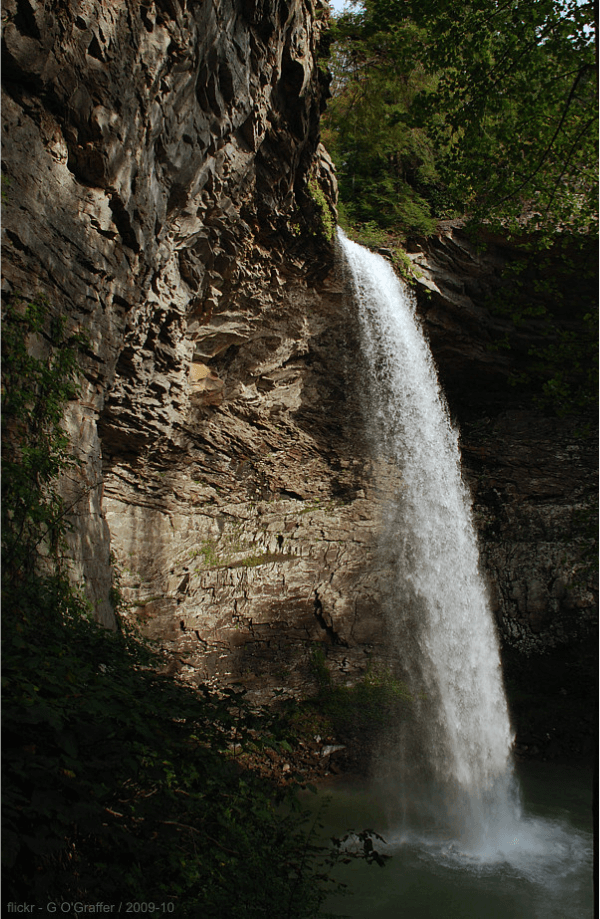 A waterfall flows over the edge of a rocky cliff into a pool below, surrounded by greenery and shaded areas—one of the Best Waterfalls in Tennessee to experience nature’s beauty.