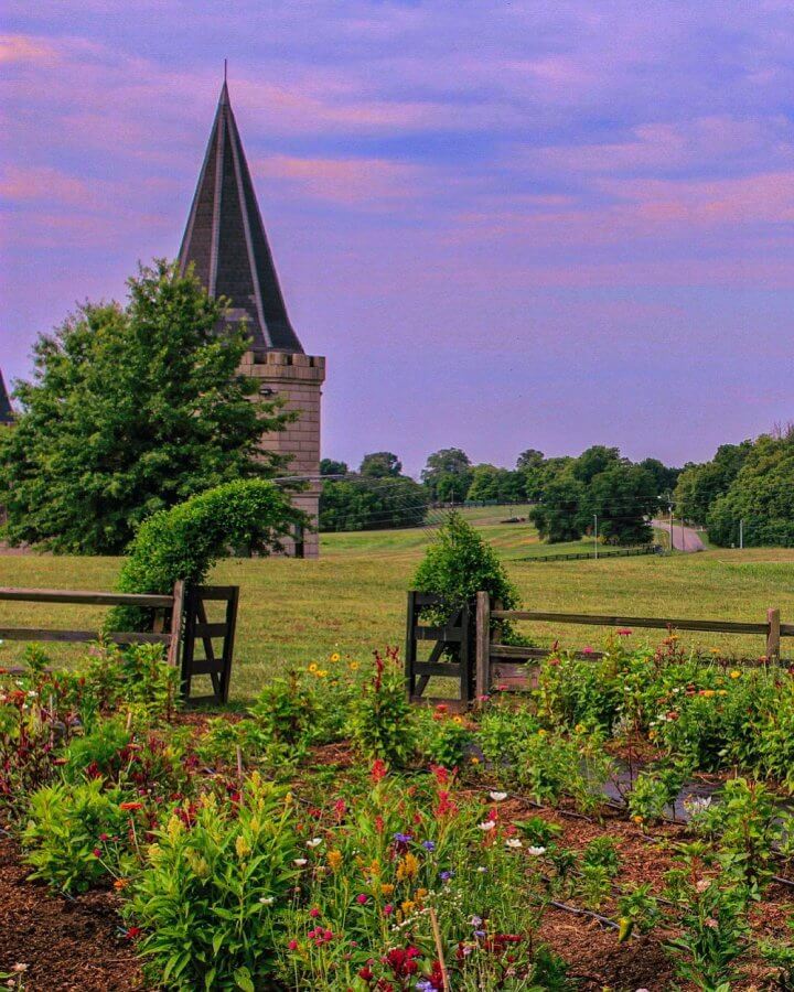 Castle Farms in Kentucky farm at sunset