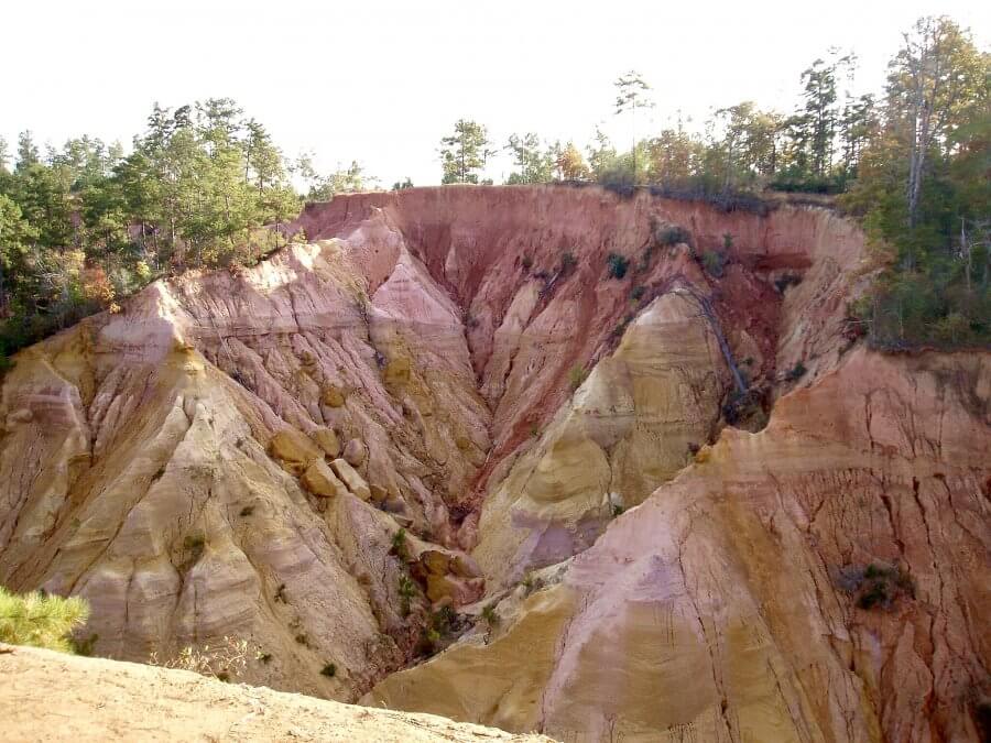 Red Bluff Mississippi