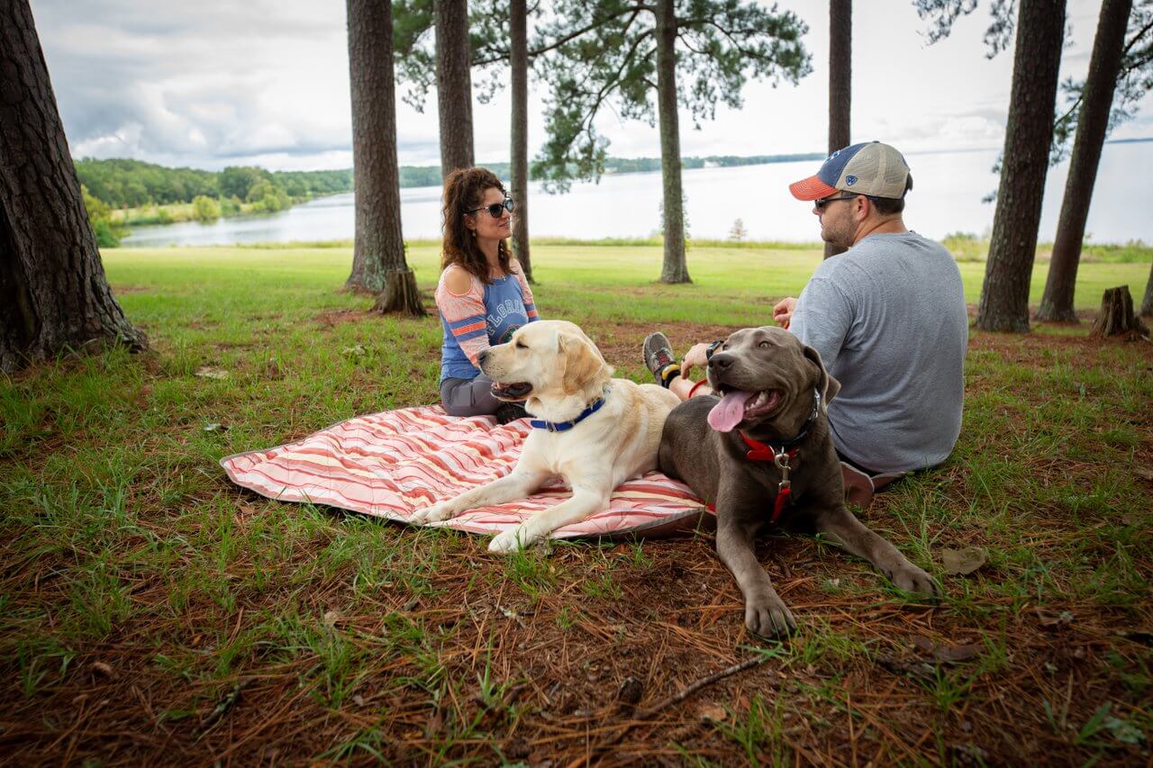 Man and woman enjoying an outdoor picnic with two dogs