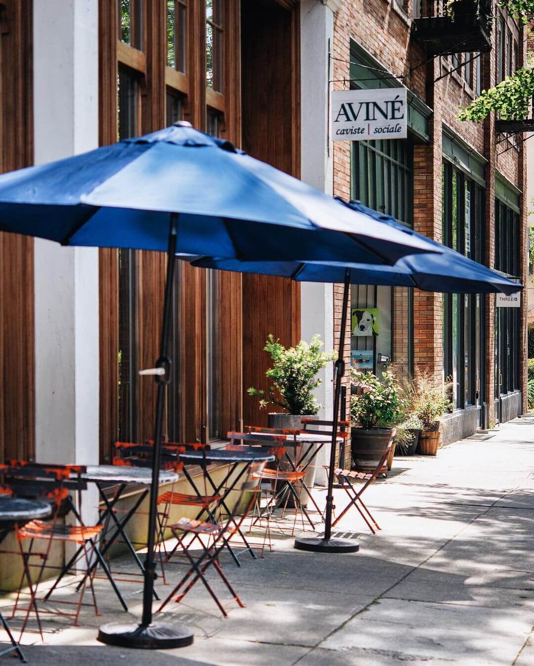 Photo of the Avine storefront, with tables and chairs outside covered by blue umbrellas. The Avine store sign hangs in view from the building.