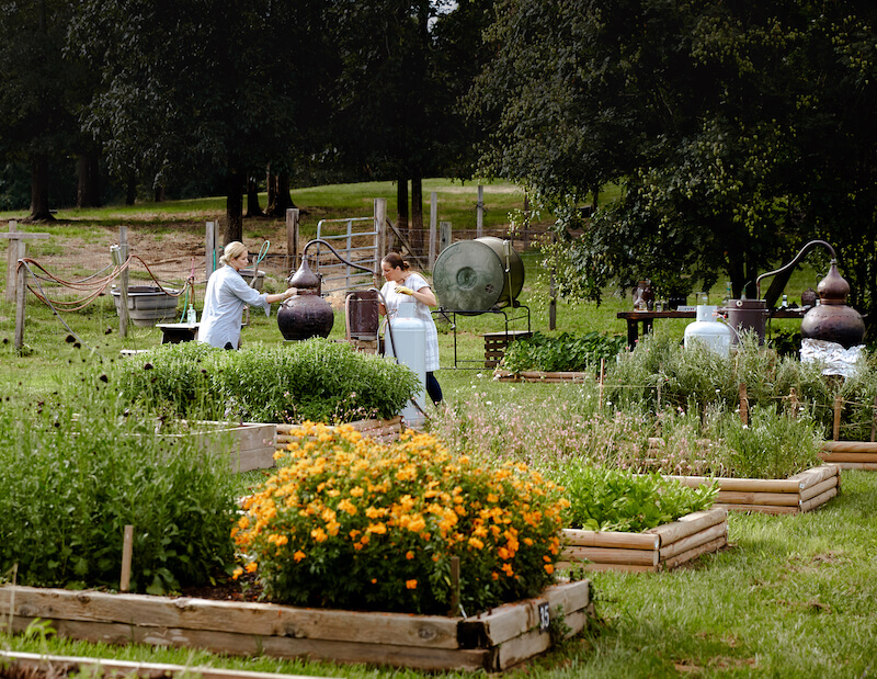 Two women working in a garden